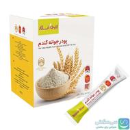 پودر جوانه گندم بین استار