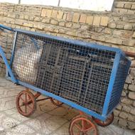 گاری فنسی 6میلیون