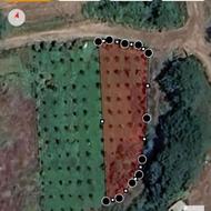 600متر باغ گلابی و سیاه ریشه