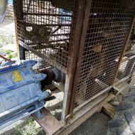 285 پرکنز یا فرگوسن