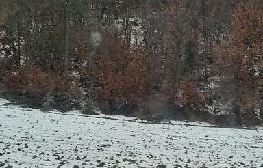 فروش 1117 متر زمین بر اصلی جاده ساری به سمنان