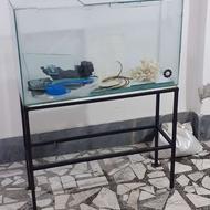 اکواریم ماهی