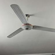 پنکه سقفی در حد نو