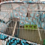 فروش 3عدد مرغ عشق