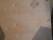 چند لایی روسی در شیپور