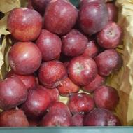 فروش سیب قرمز سفید