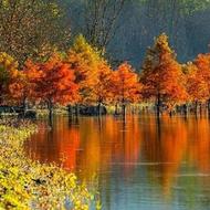 200 متر زمین کشاورزی در یک کیلومتری الندان