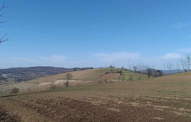 فروش زمین هکتاری 13000متری