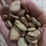 باقالا بسیار خوش پخت