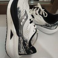 کتانی از برند ساکونی سایز 43