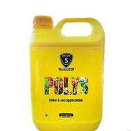 کود مایع پلی اس گرین آمریکا 20لیتری / poly-sx green