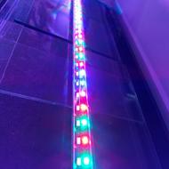 شیشه آکواریوم