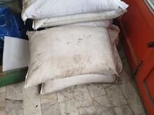 کود سفید 6 در شیپور