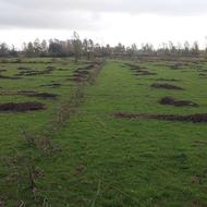 فروش زمین باغی با شرایط پرداخت استثنایی