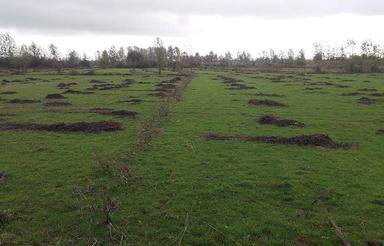 فروش زمین باغی با شرایط پرداخت استثنایی