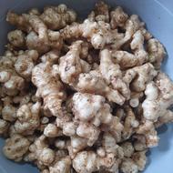 یارمسی بسیار تمیز و سالم کیلویی