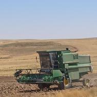 کمباین1165وکمباین955