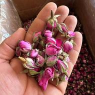 غنچه گل محمدی دارابی