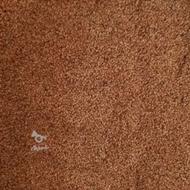 کنجد محلی درجه یک