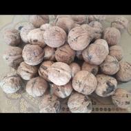 گردو محلی تازه بسیار پرچرب وسرشار از روعن