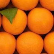 پرتقال درجه 1