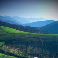 فروش یک قطعه زمین تجاری مسکونی،دارای سند مالکیت،آب،برق و گاز