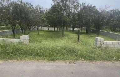 رامسر زمین بامجوز ساخت 2 طبقه روی پیلوت به همراه استخر