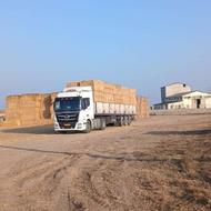 کلش گندم سایز بزرگ300تن