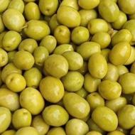 پخش زیتون 100تومن