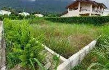 249متر منطقه دنج و جنگلی تنکابن