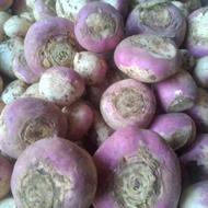 شلغم بوته ای پزا اورگانیک