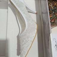 کفش عروس تورییی