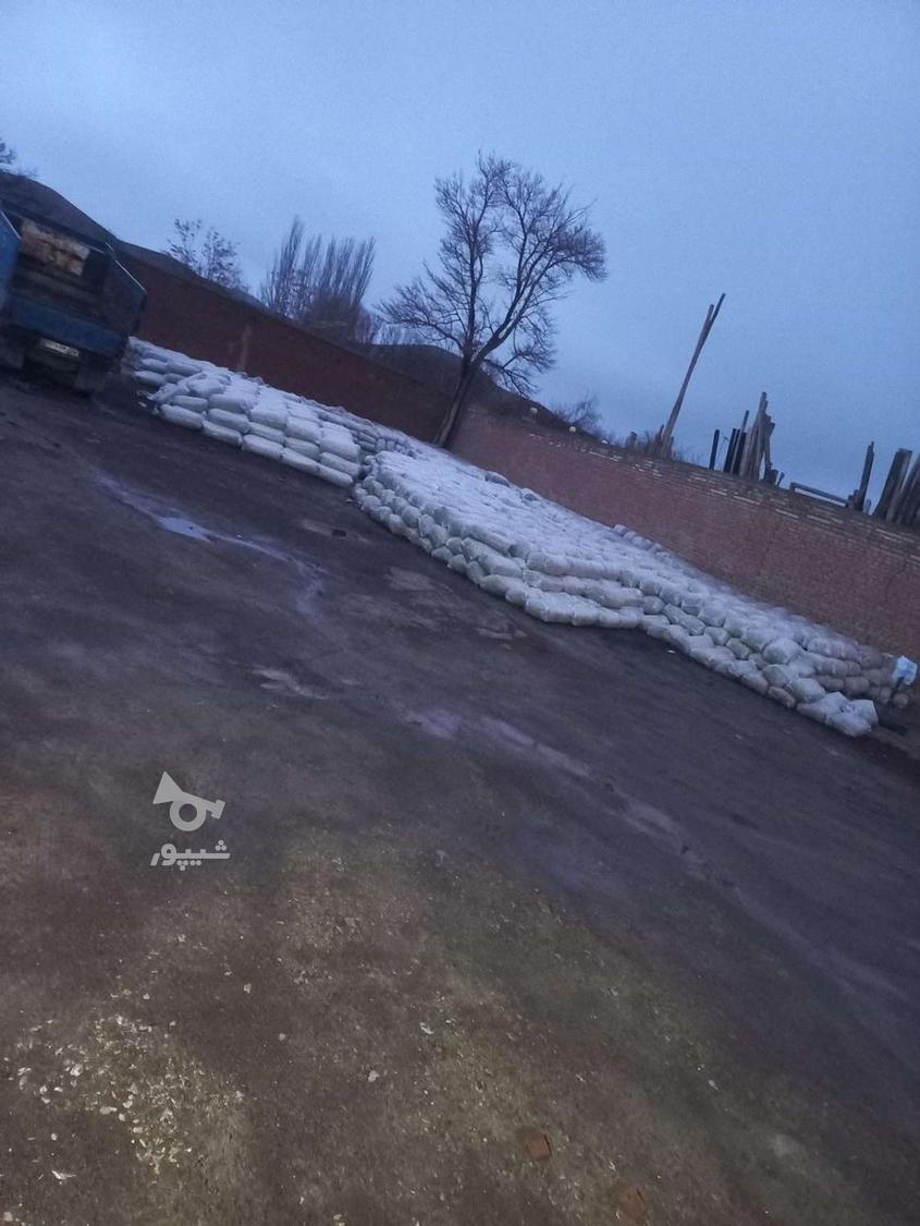 خوراک دام و انواع تفاله چغندر و سیب