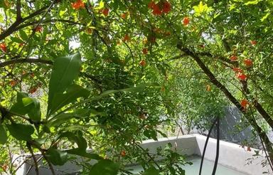 فروش و معاوضه باغ 1000 متر باغبهادران