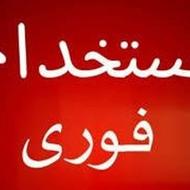 استخدام در شرکت بیمه