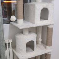 اسکرچر سالم