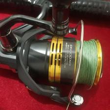 چوب ماهیگیری دایوا