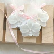 گیفت ارکیده