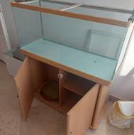 اکواریوم شیشه خم