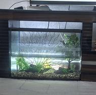 آکواریوم ماهی