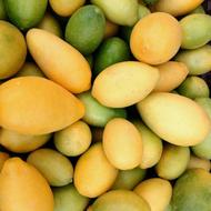 لیمو ترش درجه یک