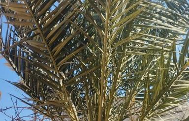 فروش خانه در شهرستان اردستان شهر زواره