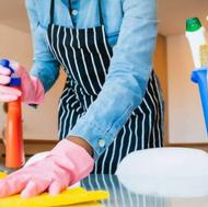 نیازمند نیروی خانم