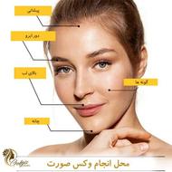 وکس صورت و بدن