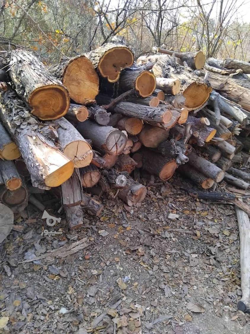 انواع و اقسام چوب