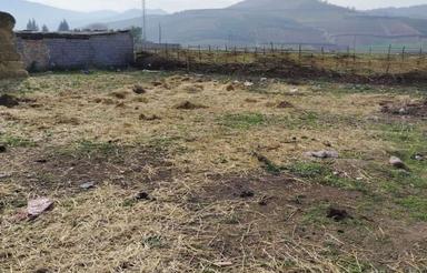 206متر زمین الحاق به بافت در روستای فاضل آباد آزادشهر