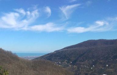 فروش زمین مسکونی 1033 متر در دالخانی رامسر