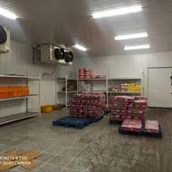 کارگر سردخانه