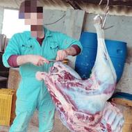 پخش گوشت شترمرغ گرم