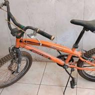 دوچرخه حرفه ای